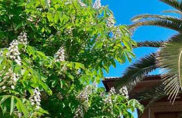 VILLA AFRICA - Foto 36