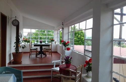 Linhal das Meias - São José das Matas - Foto 43