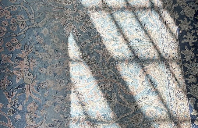 Domaine du Bosc Roger - Foto 32