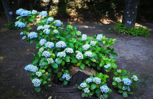 Hotel rural El Jardin del Conde - Foto 18