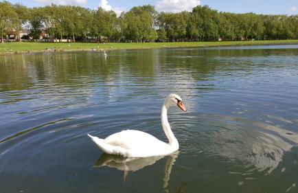 Les Carrés - Foto 45