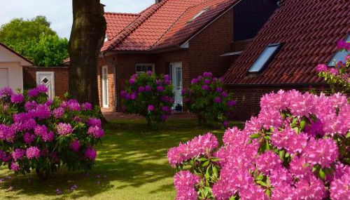 Ferienwohnung Albers - Foto 3