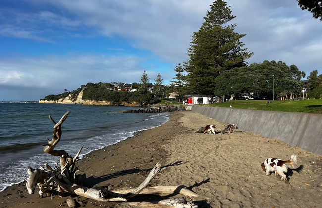 Waiake Beach Apartments - Photo 24