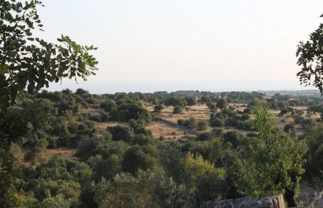 Tenuta Zannafondo - Photo 27