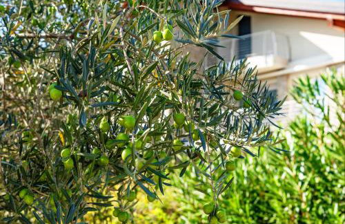 Casa di Alex | Sirmione - Foto 43