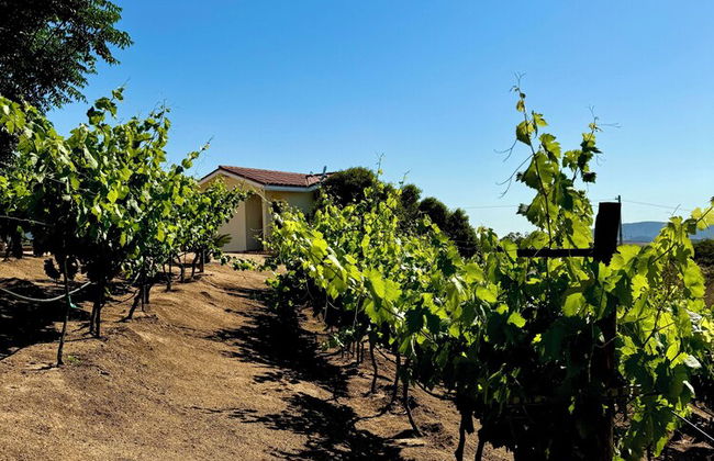 Cabañas Colibri - Foto 28