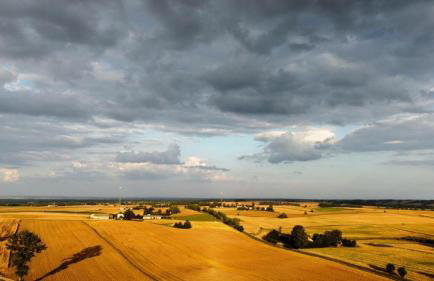 Zielone Sioło - Foto 16