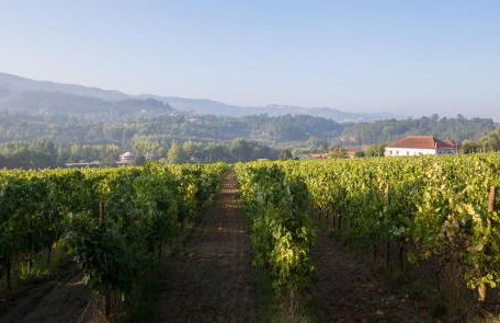 Casa Lata - Agroturismo e Enoturismo - Foto 50