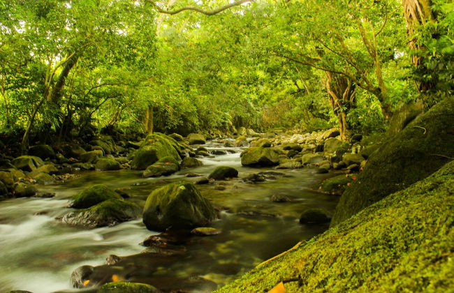 Citrus Creek Plantation - Photo 71