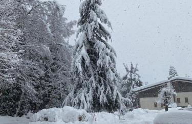 Relax, Comfort & Alps Adventures - Photo 51