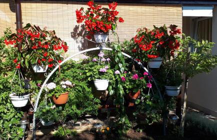 Andela Apartment - Foto 16