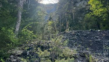 La Cabane Étoilée - Foto 3
