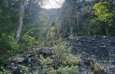 La Cabane Étoilée - Foto 3