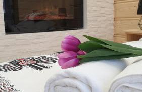 Villa Fortuna - Regionalne apartamenty & SPA - Sauna, Grill, Jacuzzi z widokiem na Tatry - Foto 46