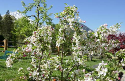 Malerhausl Modern Retreat - Foto 25