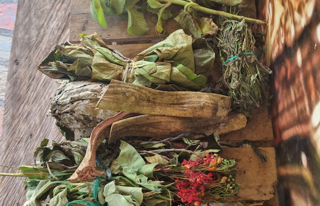 San Basilio de Palenque Day Trip - Photo 13