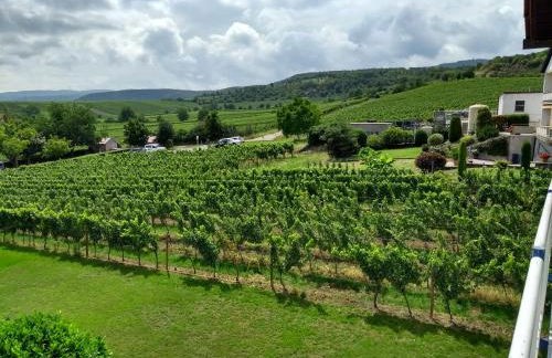 Ferien im Winzerhaus - Foto 14