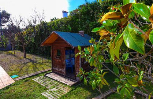 Gira-sol Planetcostadorada - Foto 28