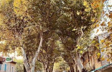 Villa les Romarins - Foto 57