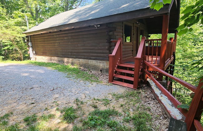 Mountain Laurel - Foto 1