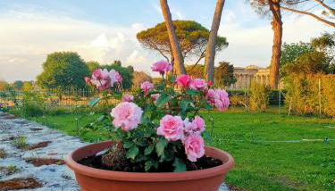 Il Giardino di Athena 1 - Foto 4