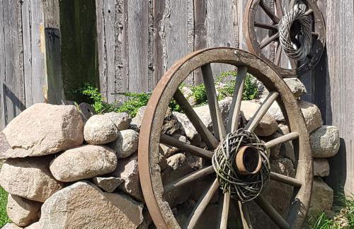 Reitanlage Duffner - Foto 28