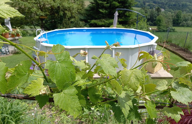 Magdalensberg - Photo 22