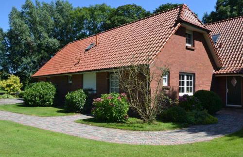 Austernfischer - Photo 1