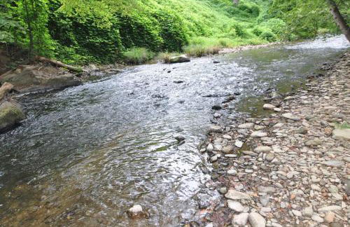 Creekside Hideaway - Foto 7