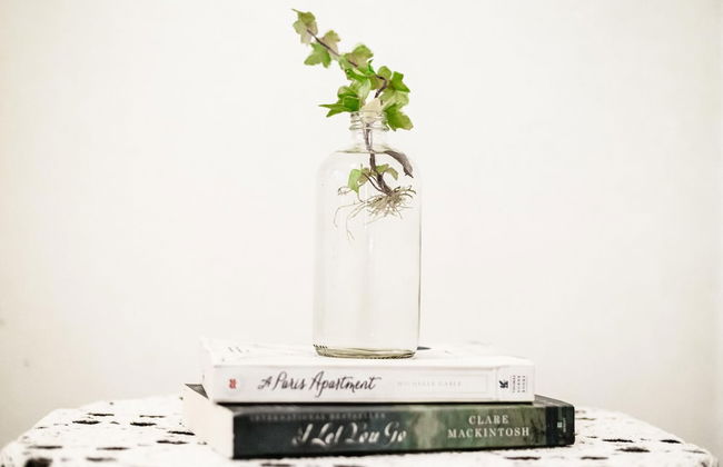 Gorgeous Bungalow With a Backyard Deck - Photo 26