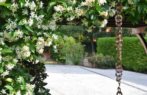 La Colombara - Fra i colli a 5 minuti dall'autodromo - Foto 17