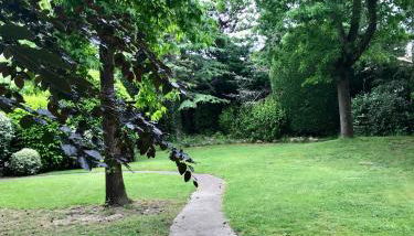 Caserio Arrigorri excelente ubicación jardín con BBQ perfecto para grupos - Foto 5, Garden