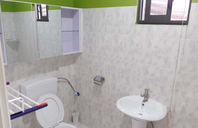 Max Garden and Pool - Photo 38