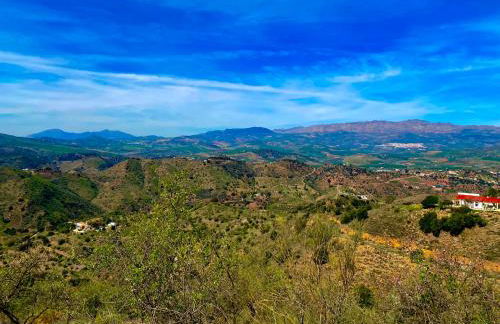 La Tahona (Cortijo Andaluz en las montañas) - Foto 37