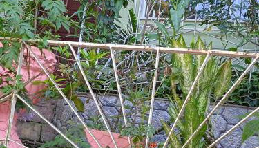 Pertinho da Mata - Foto 4