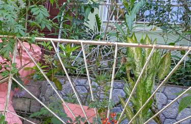 Pertinho da Mata - Foto 4