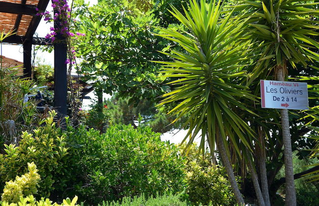 Résidence Alba Rossa - Foto 10