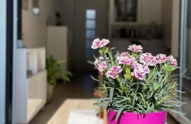 Studio Cosy Fleur de Lys - Foto 1