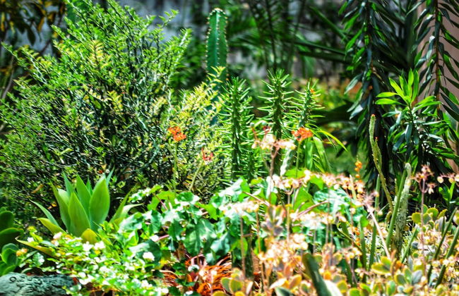 Butterfly Apartments - Foto 31