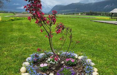 Krebslechnerhof - Foto 70