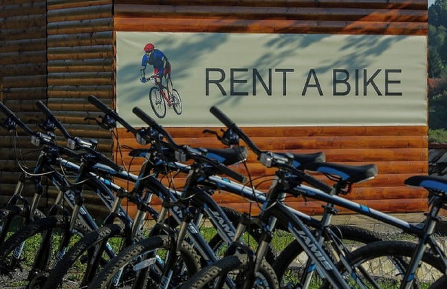 Apartments Ivanka - Foto 19