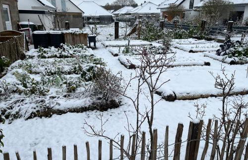 Gemütliches Eifeler Gästehäuschen - Photo 31