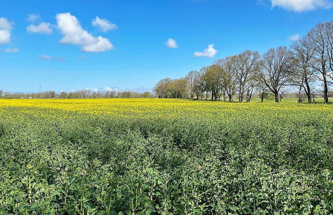 4 Person Holiday Home in Viken - Foto 10