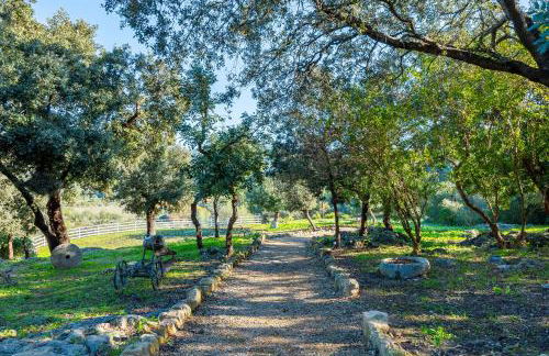 Son Burguet - Foto 16