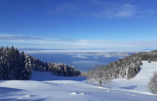CHARMANT APPARTEMENT à 150 M des THERMES et du CENTRE VILLE - Foto 25