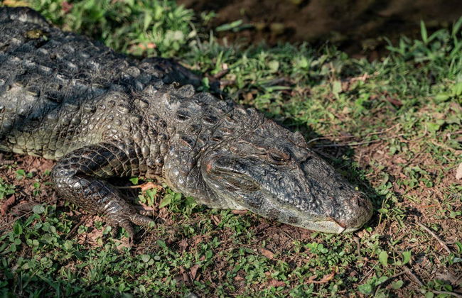 Randonnée aux cascades de la rivière Mimoso - Foto 6