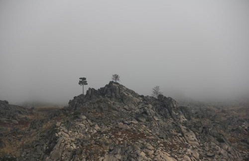 Pedra Nova - Turismo d'aldeia - Foto 147