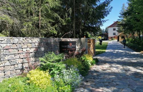 Kasztanowe Wrota - Foto 70