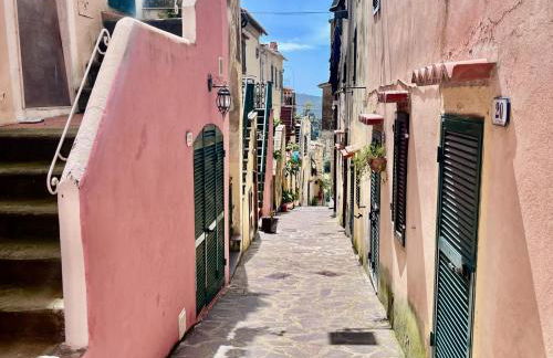 Casa Armonia - Elba Affitti - Foto 17