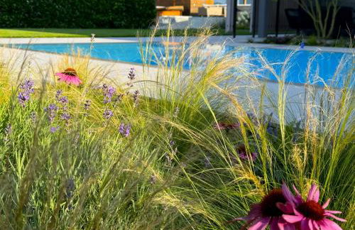 Paradisio Poolsuite Sundeck in Bodman am Bodensee - Foto 26